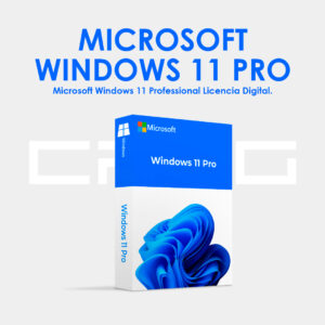 WINDOWS 11 PRO OEM